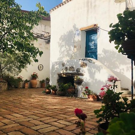 B&B Corte San Lussorio Oliena Eksteriør bilde