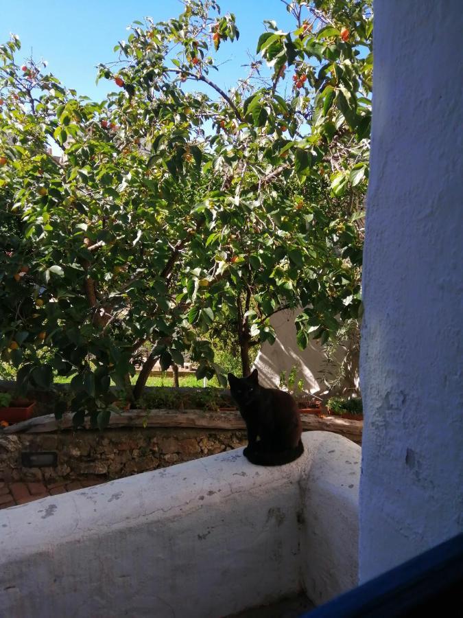 B&B Corte San Lussorio Oliena Eksteriør bilde