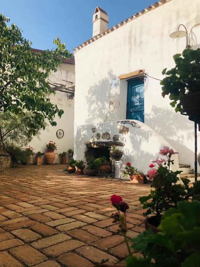 B&B Corte San Lussorio Oliena Eksteriør bilde