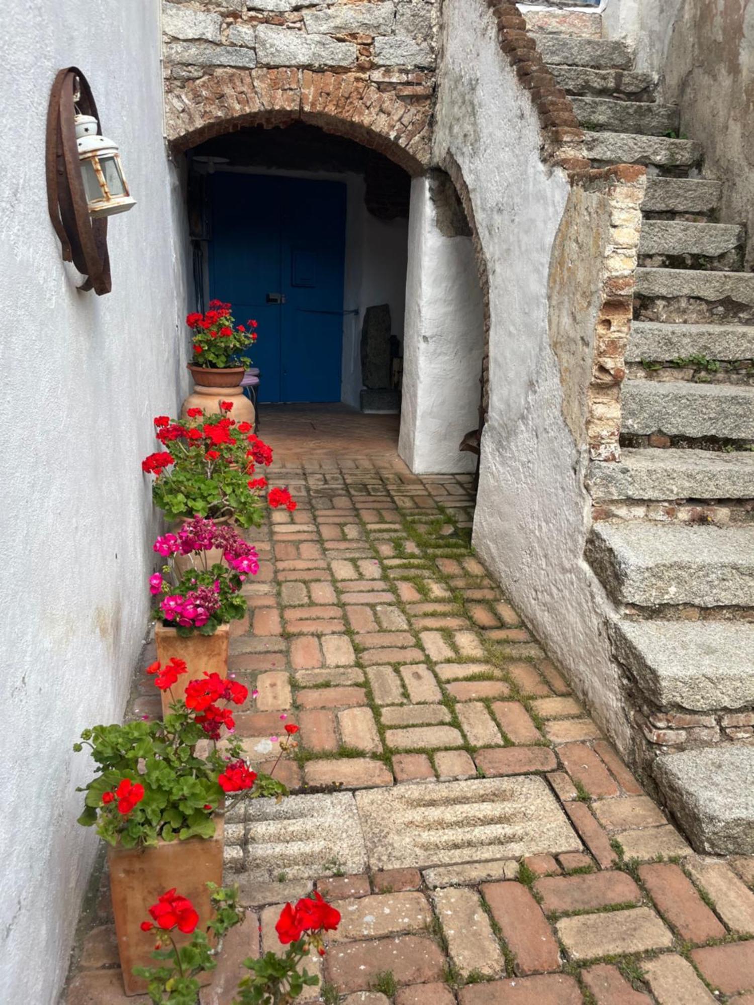 B&B Corte San Lussorio Oliena Eksteriør bilde