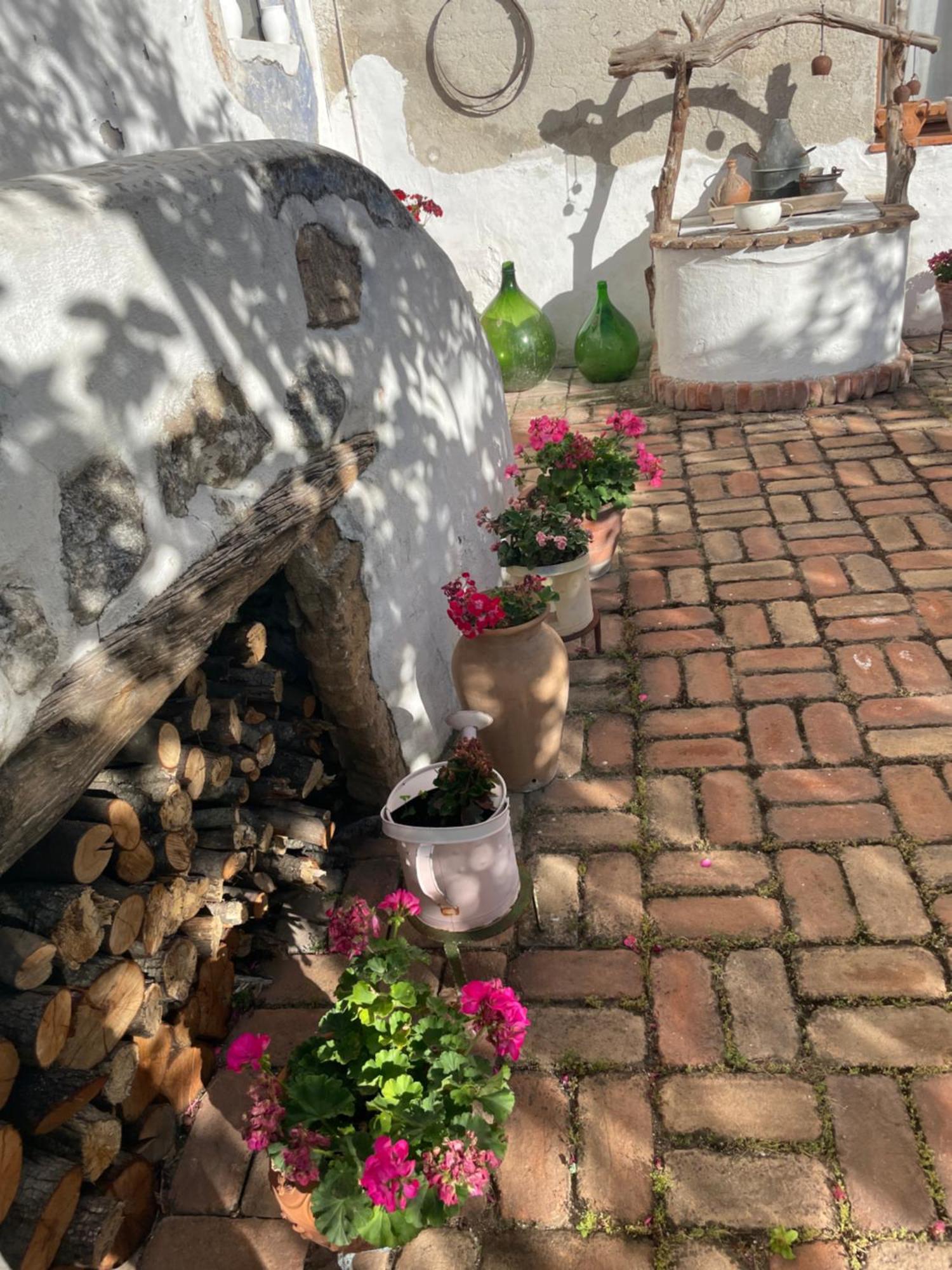 B&B Corte San Lussorio Oliena Eksteriør bilde