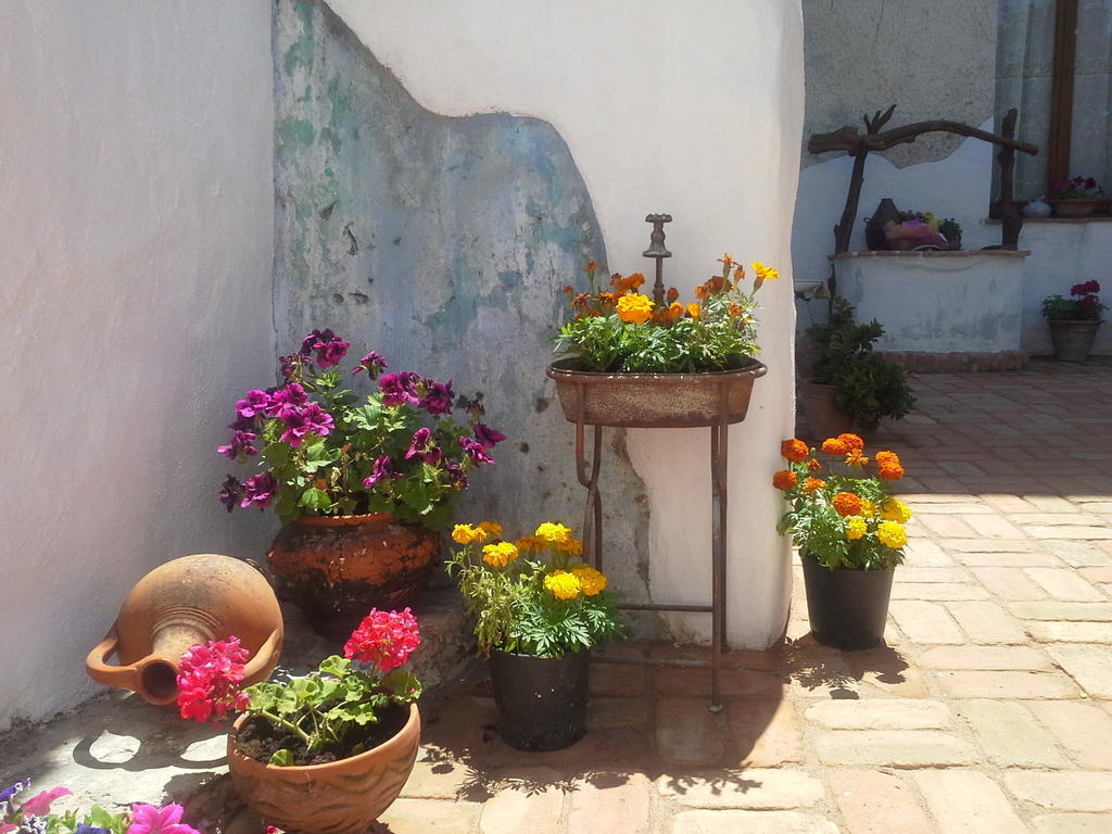 B&B Corte San Lussorio Oliena Eksteriør bilde
