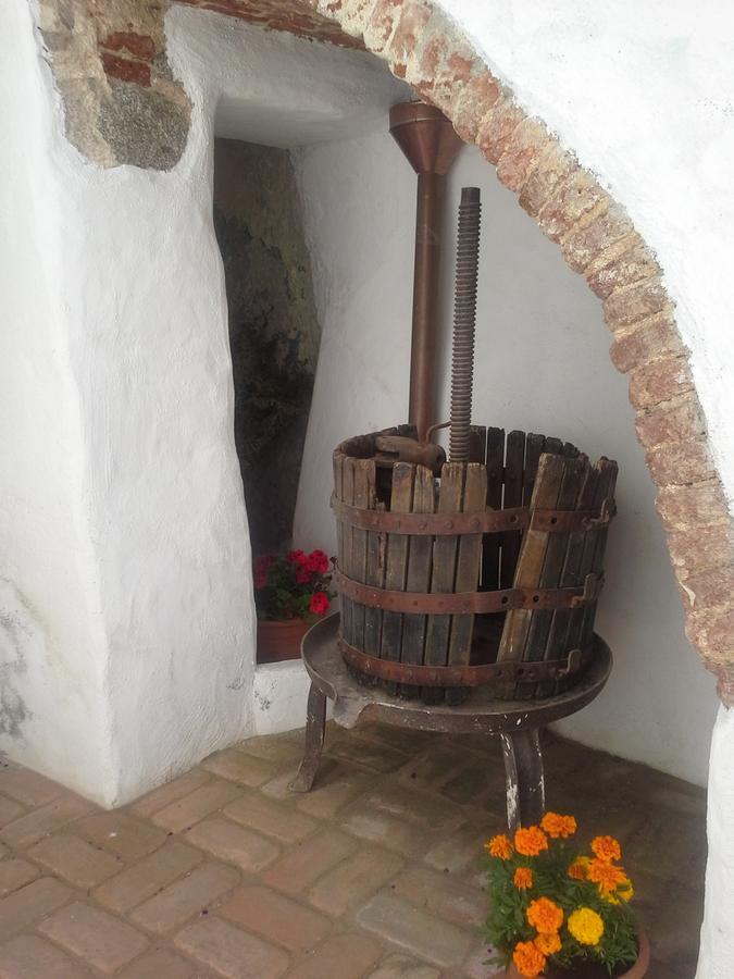 B&B Corte San Lussorio Oliena Eksteriør bilde
